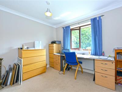 Picture 21